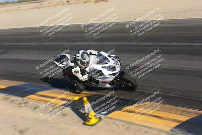 media/Nov-12-2023-SoCal Trackdays (Sun) [[5d1fba4e7d]]/Turn 14 Inside (2pm)/